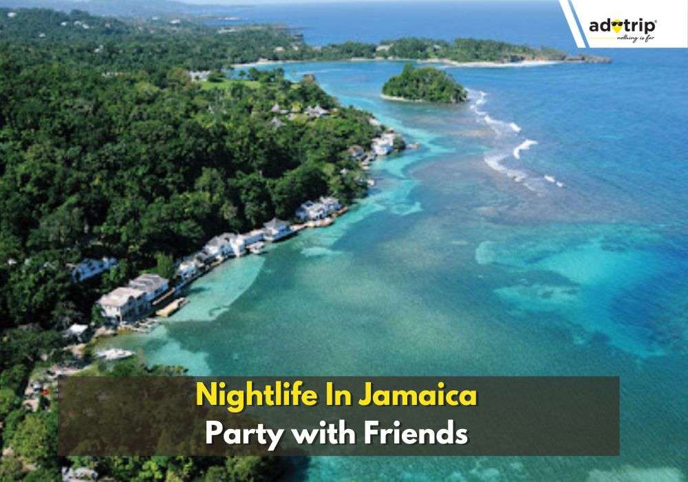 Nightlife In Jamaica